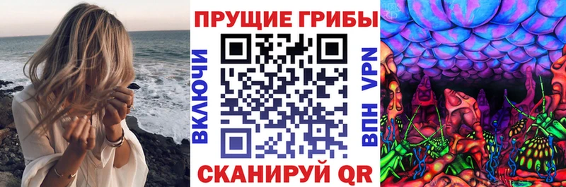 Галлюциногенные грибы мицелий Гаврилов-Ям